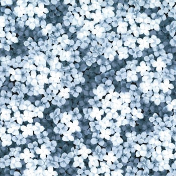 Hoffman: A Floral Perspective - Ice Blue - N7553-190