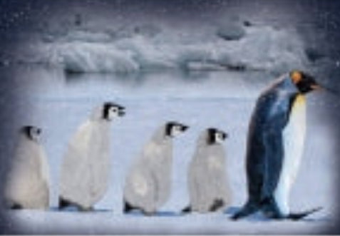 Hoffman: Arctic Blue - Penquins - Panel - S4740-621